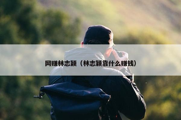 网赚林志颖（林志颖靠什么赚钱）