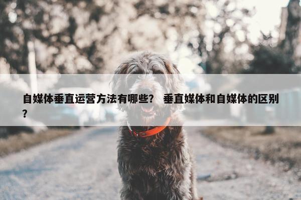 自媒体垂直运营方法有哪些？ 垂直媒体和自媒体的区别？