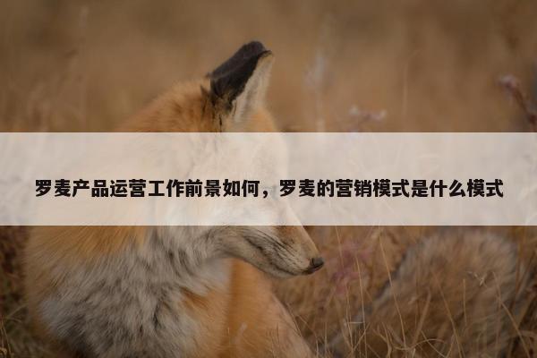 罗麦产品运营工作前景如何，罗麦的营销模式是什么模式