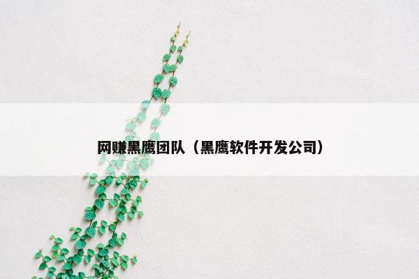 网赚黑鹰团队（黑鹰软件开发公司）