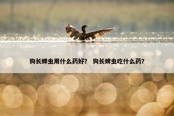 狗长蜱虫用什么药好？ 狗长蜱虫吃什么药？