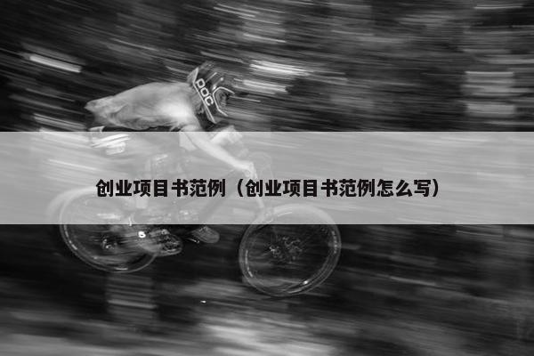 创业项目书范例（创业项目书范例怎么写）