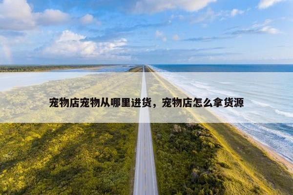 宠物店宠物从哪里进货，宠物店怎么拿货源