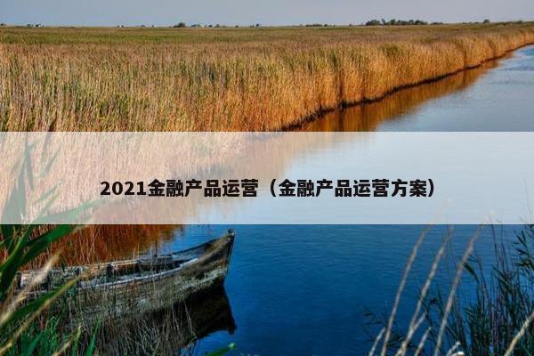 2021金融产品运营（金融产品运营方案）