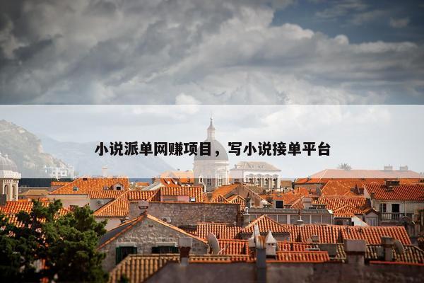 小说派单网赚项目，写小说接单平台
