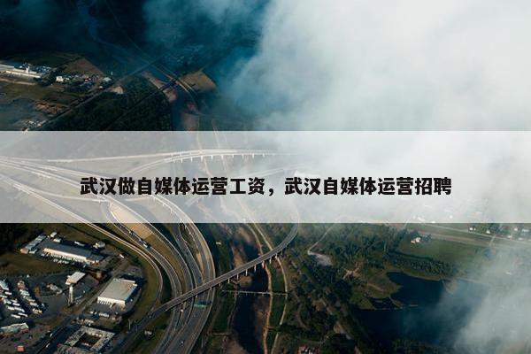武汉做自媒体运营工资，武汉自媒体运营招聘