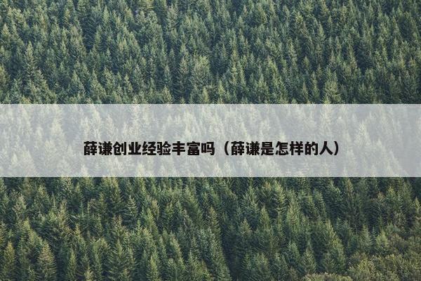 薛谦创业经验丰富吗（薛谦是怎样的人）