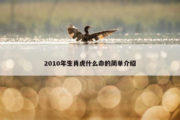 2010年生肖虎什么命的简单介绍