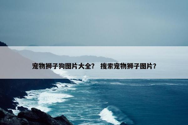 宠物狮子狗图片大全？ 搜索宠物狮子图片？
