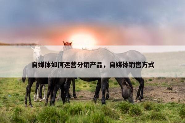 自媒体如何运营分销产品，自媒体销售方式