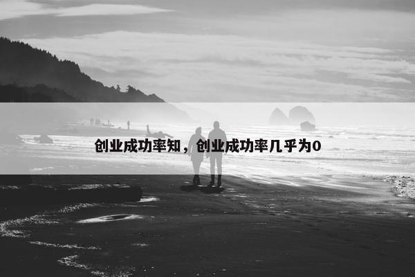 创业成功率知，创业成功率几乎为0