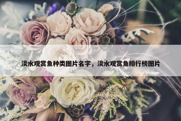 淡水观赏鱼种类图片名字，淡水观赏鱼排行榜图片