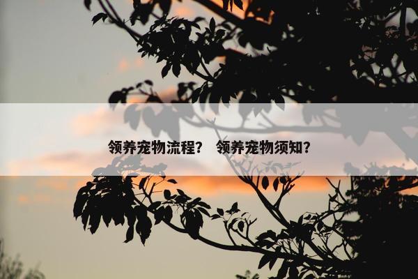 领养宠物流程？ 领养宠物须知？