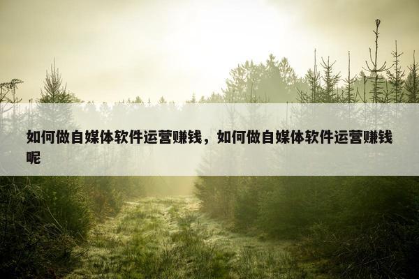 如何做自媒体软件运营赚钱，如何做自媒体软件运营赚钱呢