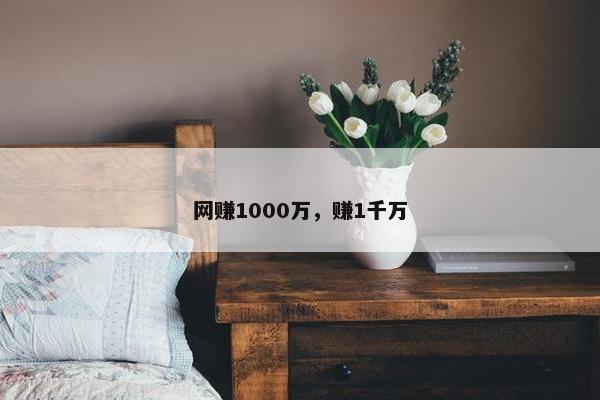 网赚1000万，赚1千万