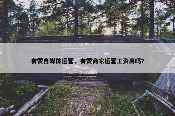 有赞自媒体运营，有赞商家运营工资高吗?