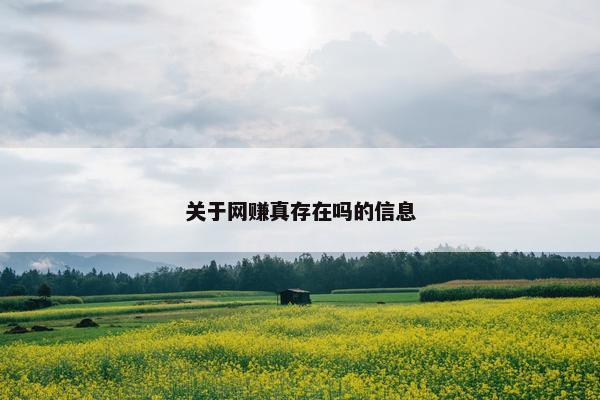 关于网赚真存在吗的信息