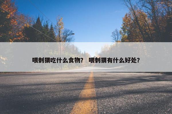 喂刺猬吃什么食物？ 喂刺猬有什么好处？