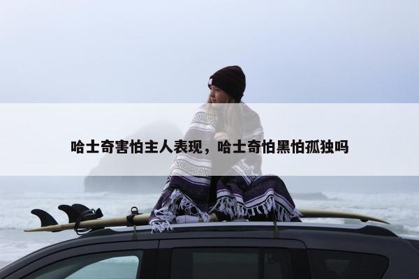哈士奇害怕主人表现，哈士奇怕黑怕孤独吗