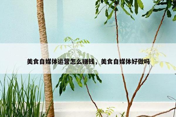 美食自媒体运营怎么赚钱，美食自媒体好做吗