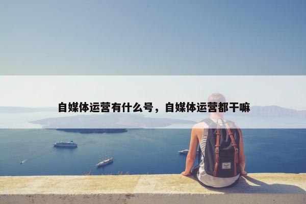 自媒体运营有什么号，自媒体运营都干嘛