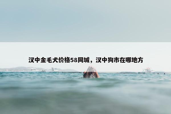 汉中金毛犬价格58同城，汉中狗市在哪地方