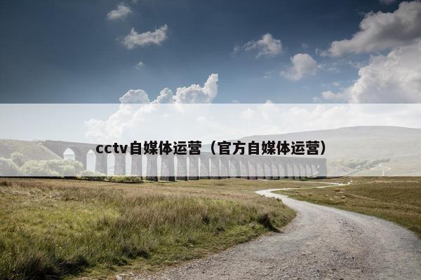 cctv自媒体运营（官方自媒体运营）