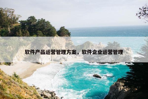软件产品运营管理方案，软件企业运营管理