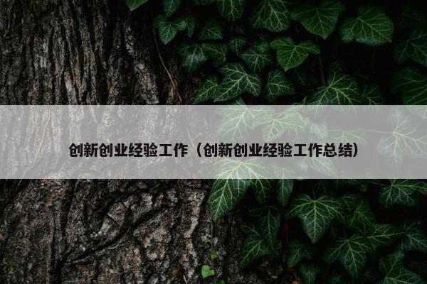 创新创业经验工作（创新创业经验工作总结）
