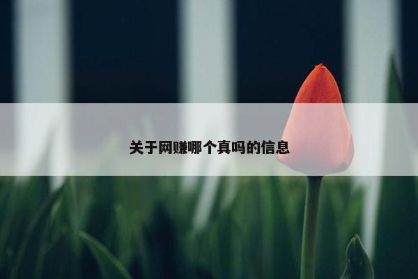 关于网赚哪个真吗的信息