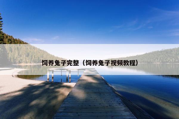 饲养兔子完整（饲养兔子视频教程）