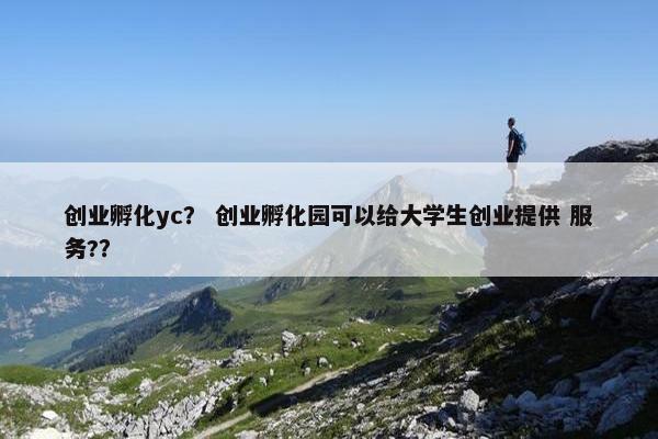 创业孵化yc？ 创业孵化园可以给大学生创业提供 服务?？