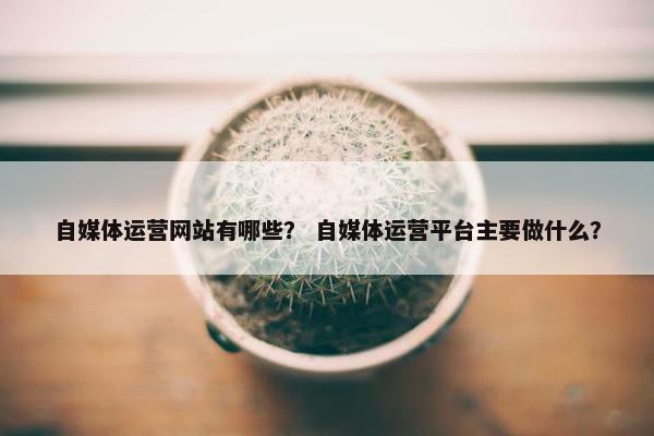 自媒体运营网站有哪些？ 自媒体运营平台主要做什么？