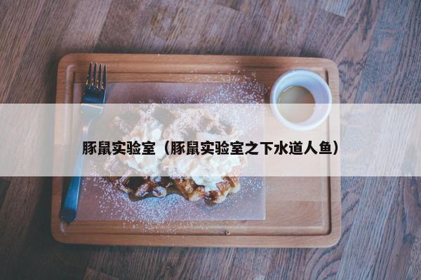 豚鼠实验室（豚鼠实验室之下水道人鱼）