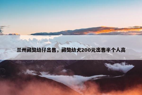 兰州藏獒幼仔出售，藏獒幼犬200元出售半个人高