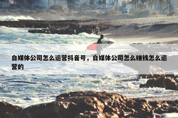自媒体公司怎么运营抖音号，自媒体公司怎么赚钱怎么运营的