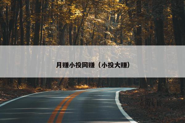 月赚小投网赚（小投大赚）