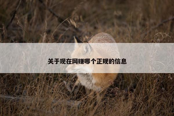 关于现在网赚哪个正规的信息