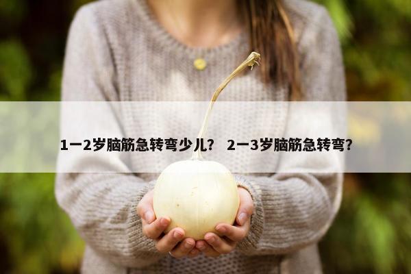 1一2岁脑筋急转弯少儿？ 2一3岁脑筋急转弯？