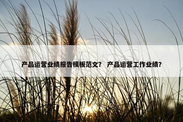 产品运营业绩报告模板范文？ 产品运营工作业绩？