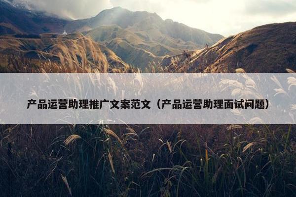 产品运营助理推广文案范文（产品运营助理面试问题）