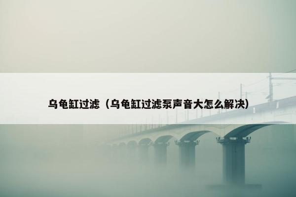 乌龟缸过滤（乌龟缸过滤泵声音大怎么解决）