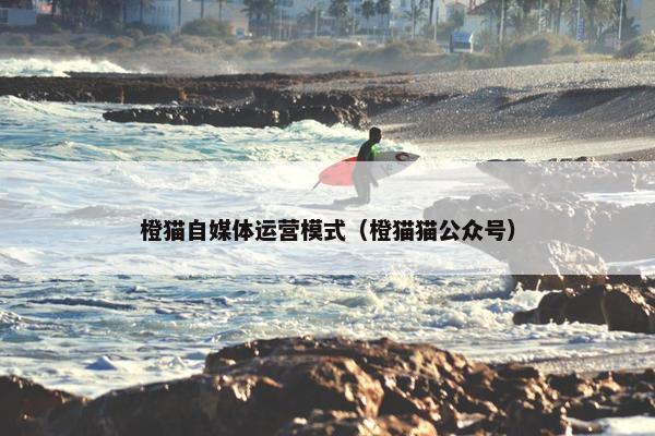 橙猫自媒体运营模式（橙猫猫公众号）