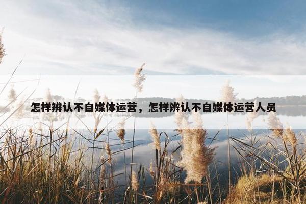 怎样辨认不自媒体运营，怎样辨认不自媒体运营人员