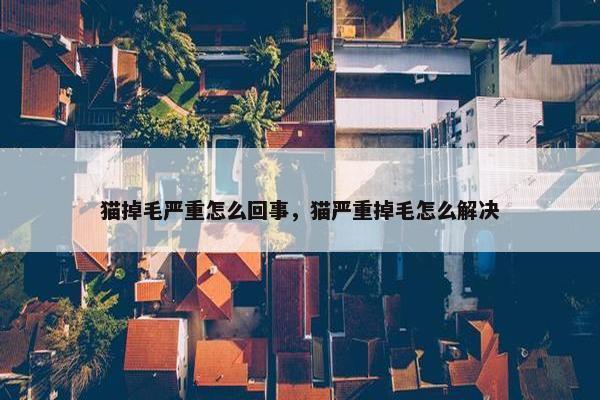 猫掉毛严重怎么回事，猫严重掉毛怎么解决