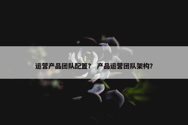 运营产品团队配置？ 产品运营团队架构？