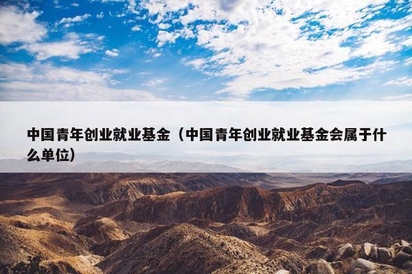 中国青年创业就业基金（中国青年创业就业基金会属于什么单位）