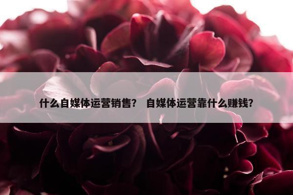 什么自媒体运营销售？ 自媒体运营靠什么赚钱？