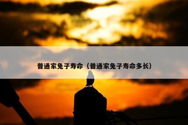 普通家兔子寿命（普通家兔子寿命多长）