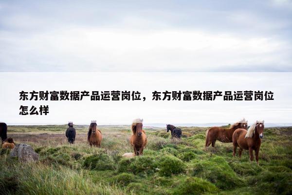 东方财富数据产品运营岗位，东方财富数据产品运营岗位怎么样